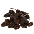 Floristik24 Natuurlijke elzenkegels, los, voor decoratie, 3 cm, 300 g, naturel bruin.