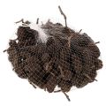 Natuurlijke elzenkegels, los,