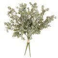 Kunstmatige eucalyptus tak,