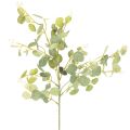 Floristik24 Kunstmatige eucalyptus tak met ronde bladeren, 75 cm, 4 stuks