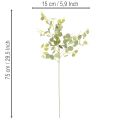 Kunstmatige eucalyptus tak met ronde bladeren, 75 cm, 4 stuks | Floristik24.nl