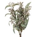 Floristik24 Decoratie met kunstmatige eucalyptustakken, takkenarrangement, 3 stuks