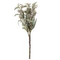 Decoratie met kunstmatige eucalyptustakken, takkenarrangement, 3 stuks | Floristik24.nl