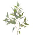 Floristik24 Kunstmatige eucalyptustak, natuurlijk groen, decoratie, 100 cm