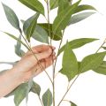 Kunstmatige eucalyptustak, natuurlijk groen, decoratie, 100 cm | Floristik24.nl