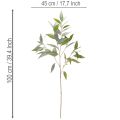 Kunstmatige eucalyptustak, natuurlijk groen, decoratie, 100 cm | Floristik24.nl