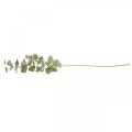 Floristik24 Eucalyptus kunsttak deco groene plant groen, roze 75cm