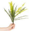 Kunstmatige varentak, kunstmatige groene plant voor decoratie, 45 cm | Floristik24.nl
