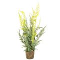 Floristik24 Kunstmatige varenplant met wortelkluit voor huis- en kantoordecoratie, 57 cm