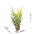 Kunstmatige varenplant met wortelkluit voor huis- en kantoordecoratie, 57 cm | Floristik24.nl