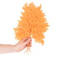 Gedroogde en geconserveerde varenbladeren voor bloemschikken en herfstdecoratie, 42 cm, 10 stuks | Floristik24.nl