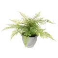 Floristik24 Kunstmatige varen in een plantenpot voor woonkamer en kantoor, 35 cm