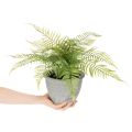 Kunstmatige varen in een plantenpot voor woonkamer en kantoor, 35 cm | Floristik24.nl