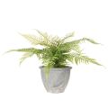 Kunstmatige varen in een plantenpot voor woonkamer en kantoor, 35 cm | Floristik24.nl