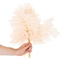 Decoratie met gedroogde varens voor vaas, 42 cm, 10 stuks | Floristik24.nl