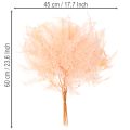 Gedroogde varenbladeren, varendecoratie voor vazen, 60 cm, 10 stuks | Floristik24.nl