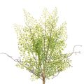 Floristik24 Kunstmatige groene Ruscus-tak voor bloemversiering, 41 cm
