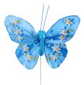 Floristik24 Veer-vlinder 8,5cm gekleurd assorti. 12st