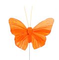 Floristik24 Veer vlinder 8cm oranje 24st