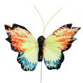 Floristik24 Veer vlinder 9cm assorti 12st