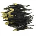Floristik24 Decoratieve veren zwart, goud echte veren voor knutselen 12-14cm 72st