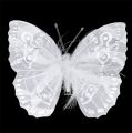 Floristik24 Veer vlinder 11,5cm met clip wit 3st