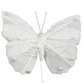 Floristik24 Veer vlinder 8cm met draad wit 12st