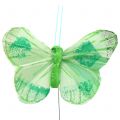 Floristik24 Veer vlinder op draad gekleurd 6cm 12st