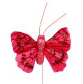 Floristik24 Veer vlinder met glitter 5cm geassorteerde kleuren 24st