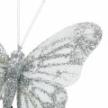 Floristik24 Veer vlinder wit met mica 7.5cm 4st