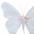 Floristik24 Veer vlinder op draad 12cm wit 3st
