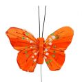Floristik24 Veer vlinders 6cm geel, oranje 24st