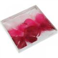 Floristik24 Veer vlinders roze/roze/rood, deco vlinders op draad 6st