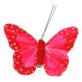 Floristik24 Veren vlinders op clip multicolour 7cm 12st