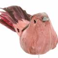 Floristik24 Veer vogel op draad roze 12cm 4st