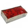 Floristik24 Deco mos rood rendiermos voor knutselen 400g