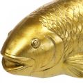 Floristik24 Decoratieve vis om neer te zetten, vissculptuur polyresin goud groot L25cm