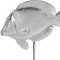 Vis om te plaatsen, maritieme decoratie, decoratieve vis van metaal zilver, natuurlijke kleuren H23cm