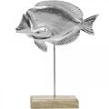 Decoratieve vis, maritieme decoratie, vis gemaakt van metaal zilver, natuurlijke kleuren H28.5cm