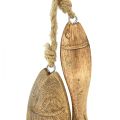 Floristik24 Mangohouten vis houten vis om op te hangen naturel 10/15cm