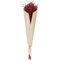 Vlas Bordeaux Rode Gedroogde Decoratie Gedroogde Bloemen L55cm 80g | Floristik24.nl