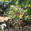 Flesdecoratie glazen flesvaas van glas Ø7,5cm H19cm | Floristik24.nl