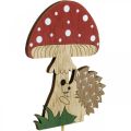Floristik24 Sierpluggen, herfst houten decoratie, egel met paddenstoel H11cm L34cm 12st