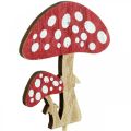 Floristik24 Houten paddenstoel, paddestoeldecoratie, herfst, bloempluggen H7cm L34cm 18 stuks