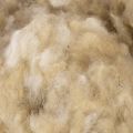 Natuurlijke beige schapenwol, los, voor knutselen en decoreren, 250 g | Floristik24.nl