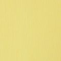 Floristik24 Bloemist crêpepapier pastel geel 50x250cm