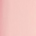 Floristik24 Bloemist crêpepapier roze 50x250cm