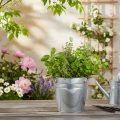 Decoratieve metalen emmerbloempot met touwgrepen Ø20cm | Floristik24.nl