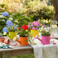 Kleurrijke decoratieve gieter, Ø11cm, H9,5cm, voor het beplanten van planten, lentetafeldecoratie, metaal, set van 8 | Floristik24.nl
