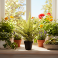 Kunstmatige varen in een pot voor kamergroen, 40 cm | Floristik24.nl